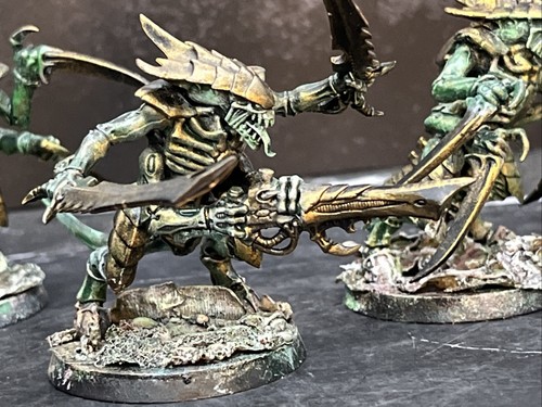 Warrior squad tyrannids - of,